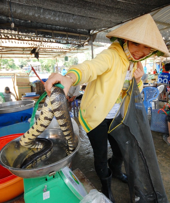 Chợ[-]sỉ[-]cá,[-]cua[-]đồng[-]ở[-]vùng[-]rốn[-]lũ[-]Đồng[-]Tháp[-]Mười